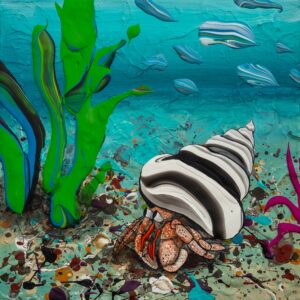 Hermit Crab