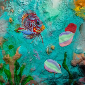 Discus